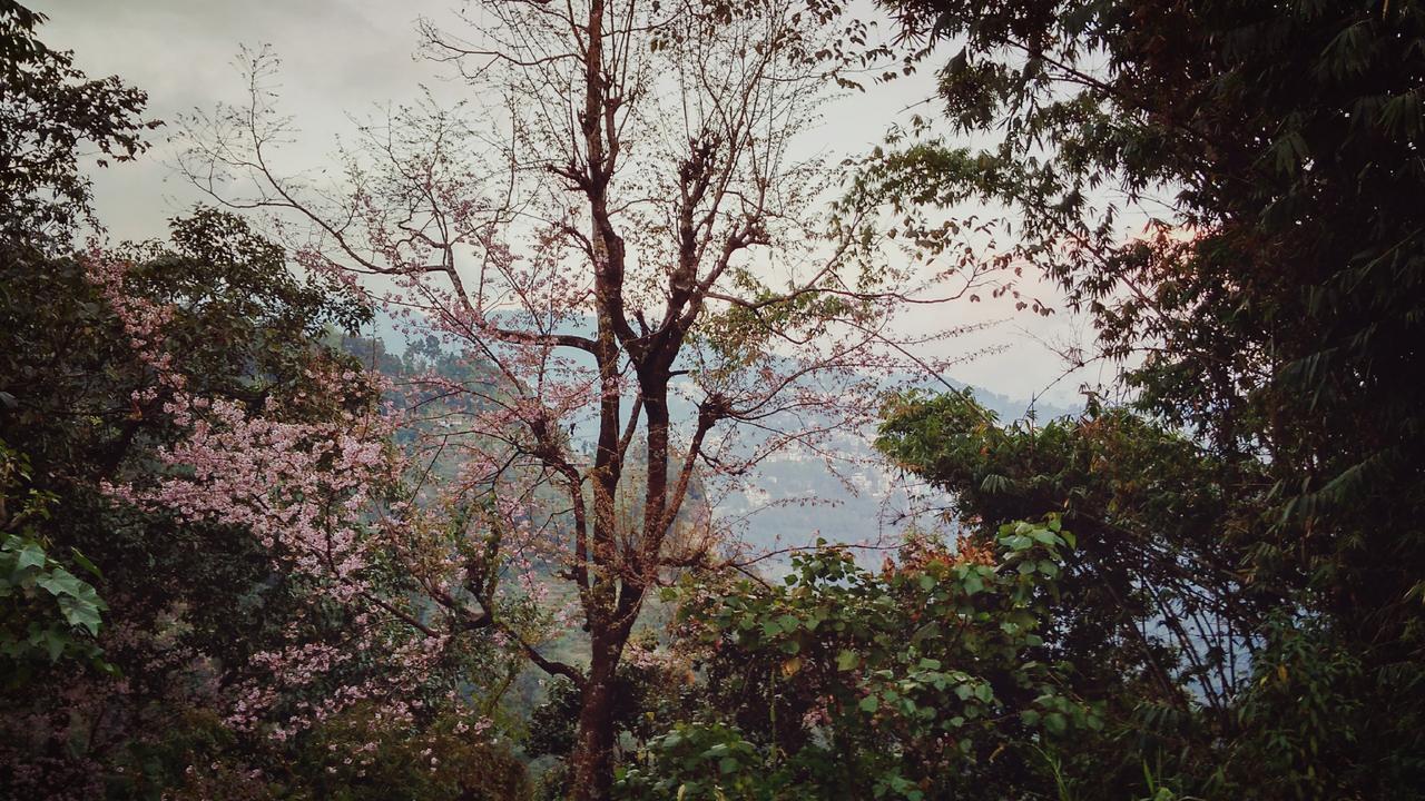 Enchanted Forest Farmstay Gangtok Exterior foto