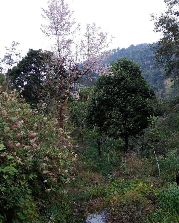 Enchanted Forest Farmstay Gangtok Exterior foto