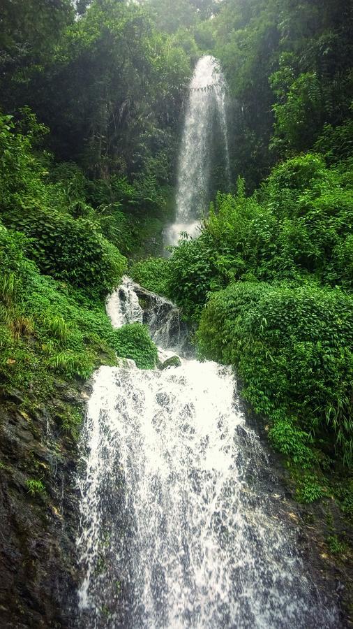 Enchanted Forest Farmstay Gangtok Exterior foto