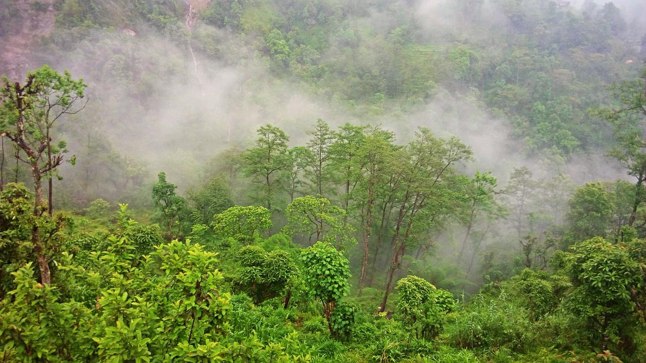 Enchanted Forest Farmstay Gangtok Exterior foto