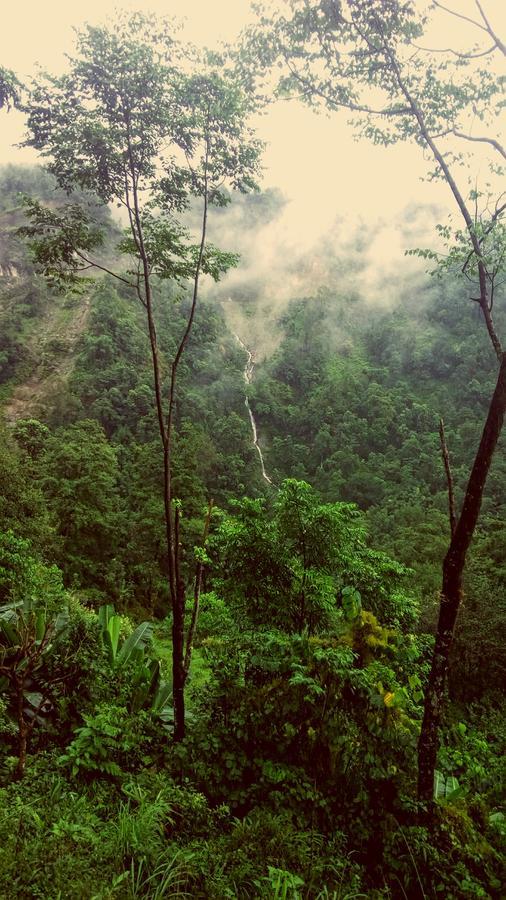 Enchanted Forest Farmstay Gangtok Exterior foto
