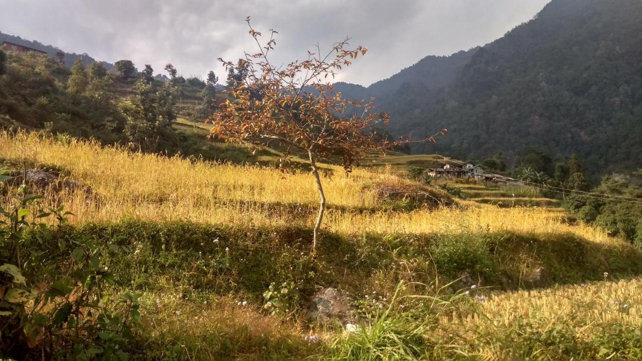 Enchanted Forest Farmstay Gangtok Exterior foto
