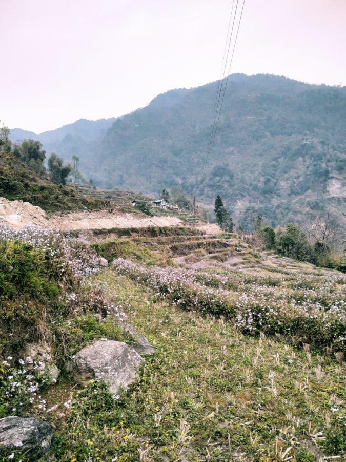 Enchanted Forest Farmstay Gangtok Exterior foto