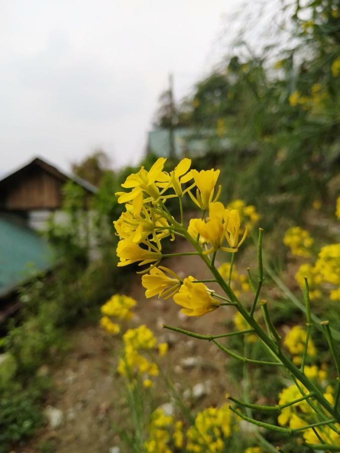 Enchanted Forest Farmstay Gangtok Exterior foto