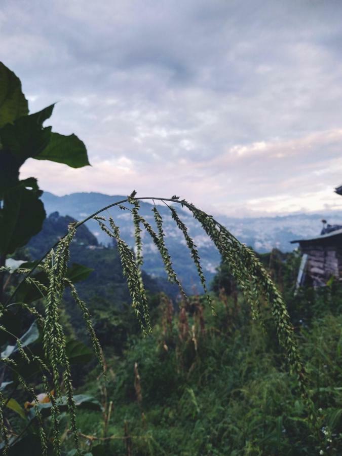 Enchanted Forest Farmstay Gangtok Exterior foto